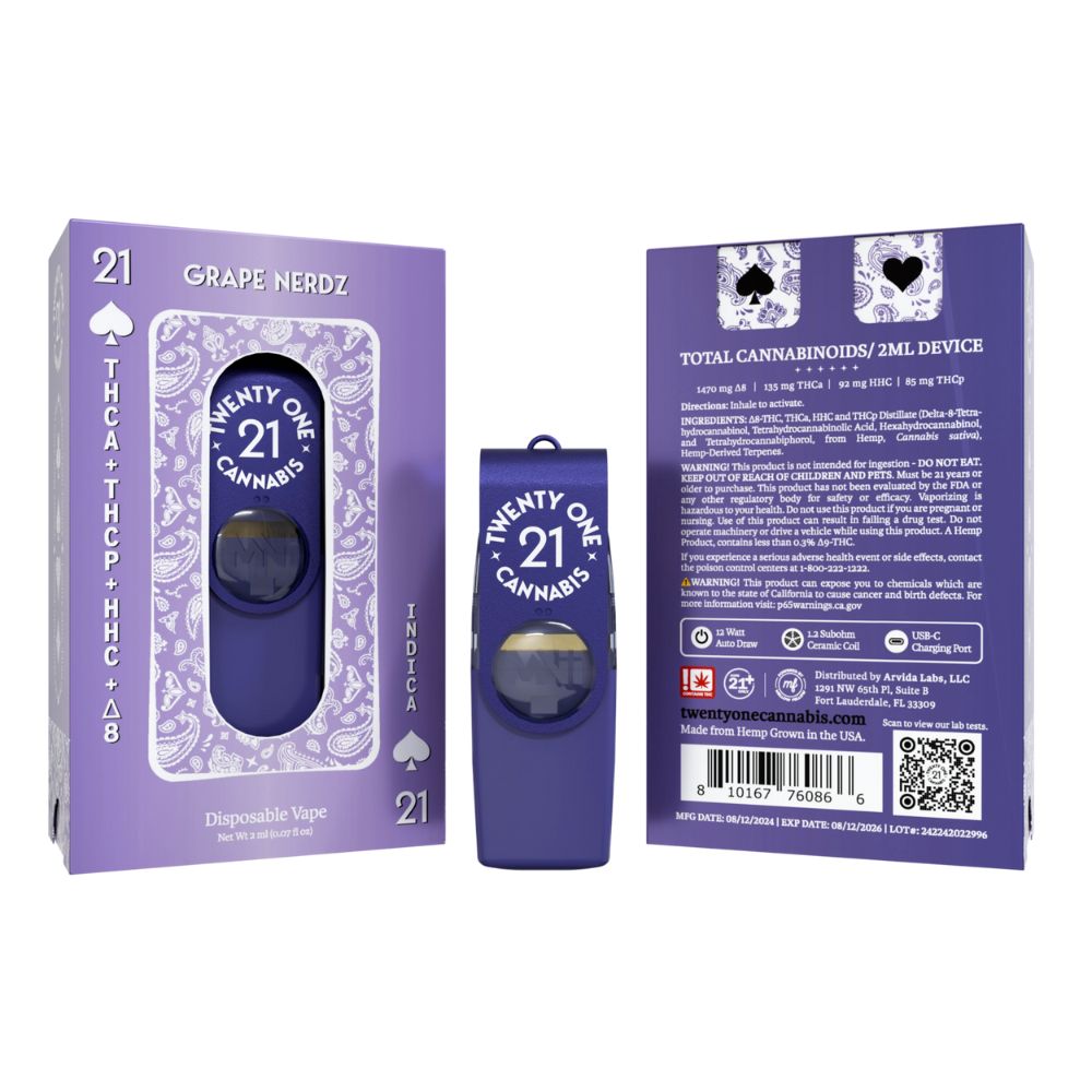 Twenty One THC Flash Drive Vape - 2 Grams-Delta 8 Disposable Weed Pens-No Limit Distro